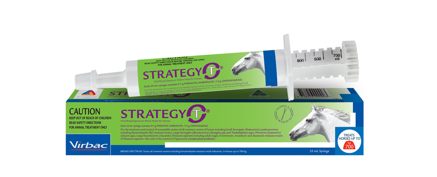 White Virbac Strategy-T horse wormer syringe with green label, next to its matching blue and green box.