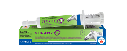 White Virbac Strategy-T horse wormer syringe with green label, next to its matching blue and green box.