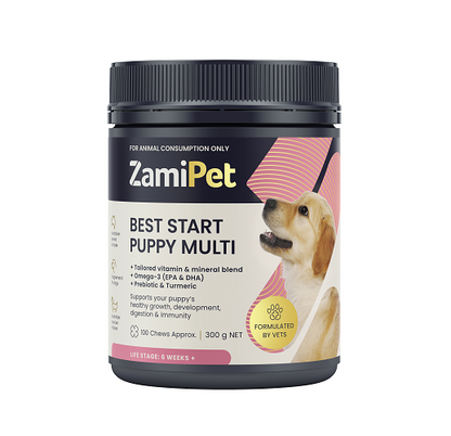 ZamiPet Best Start Puppy Multi Chews in a dark gray jar with a golden retriever puppy graphic.