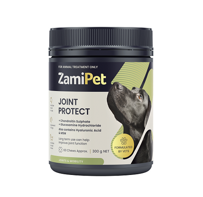 ZamiPet Joint Protect Chews for Dogs, dark blue and green tub with a black dog graphic.