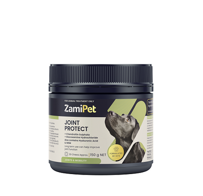 ZamiPet Joint Protect Chews for Dogs in a dark grey tub with a black dog on the label.