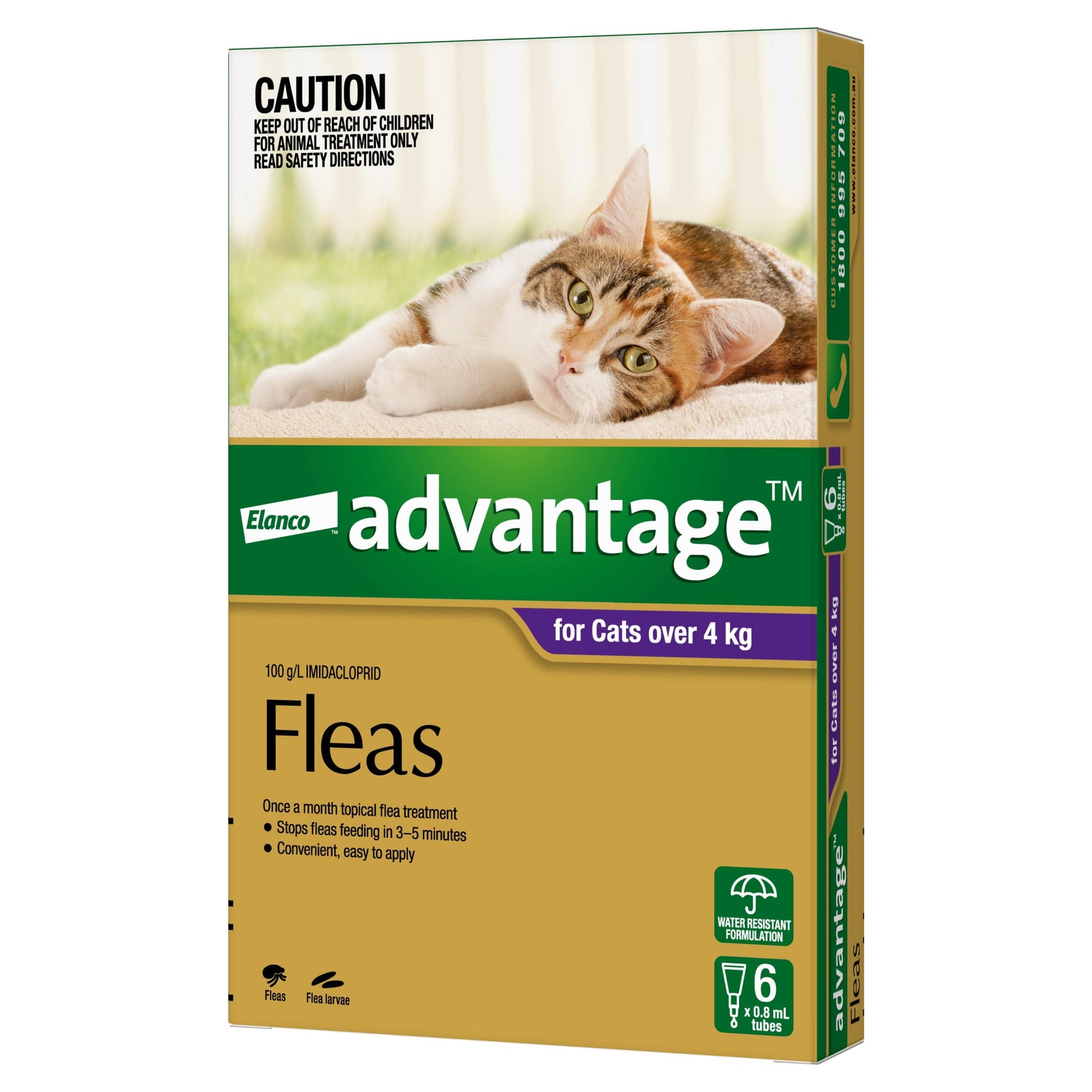 Advantage for Cats over 9lbs (4kg) purple box with a tabby cat, flea treatment.