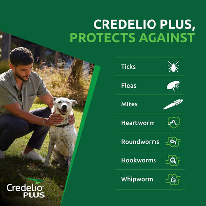 Credelio Dog Health Credelio™ PLUS Orange For Medium  Dogs 5.5-11 kg