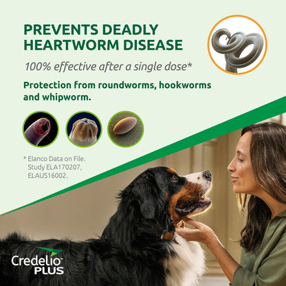 Credelio Dog Health Credelio™ PLUS Orange For Medium  Dogs 5.5-11 kg