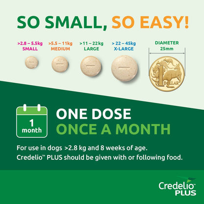 Credelio Dog Health Credelio™ PLUS Orange For Medium  Dogs 5.5-11 kg