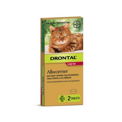 Drontal Allwormer for Large Cats Up to 13.2lbs (6kg)