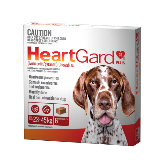 HeartGard Plus Chewables for Large Dogs 51–100 lbs (23–45 kg) – Brown