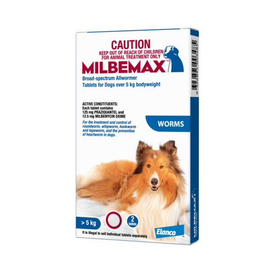 Milbemax for dogs over 5kg