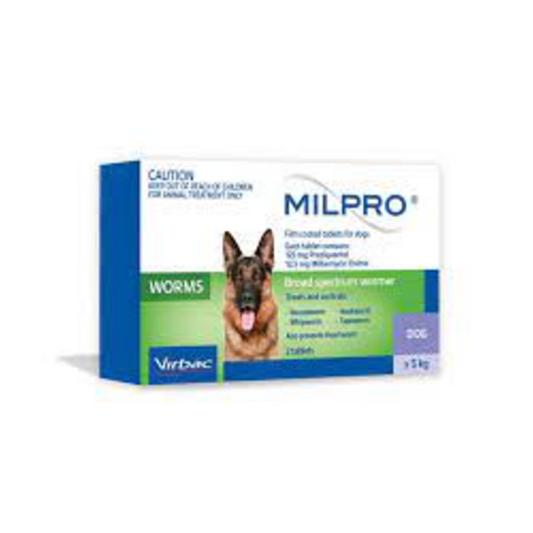 Milpro Broad Spectrum Allwormer For Large Dogs 11-55lbs