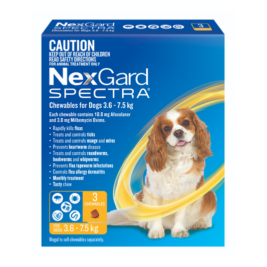NexGard Spectra Chewables for Small Dogs 7.8–16.5 lbs (3.6–7.5 kg) – Yellow