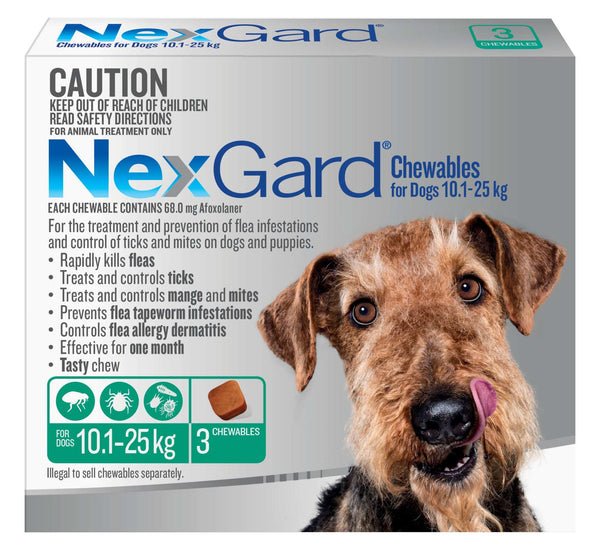NexGard Chewables for Medium Dogs (24.1–60 lbs) – Green