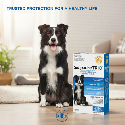 Simparica TRIO marketing image